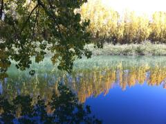 Apartamentos Turísticos Hoces del Batanejo El Palomar