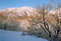 Casa Rural El Capricho de los Montes