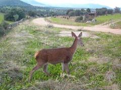 Casa Rural El Capricho de los Montes