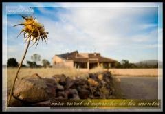 Casa Rural El Capricho de los Montes