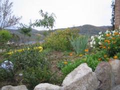 Casa Rural El Capricho de los Montes