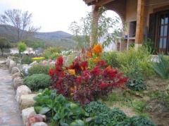 Casa Rural El Capricho de los Montes