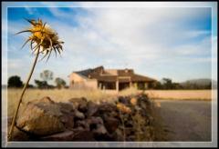 Casa Rural El Capricho de los Montes