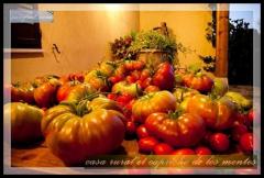 Casa Rural El Capricho de los Montes