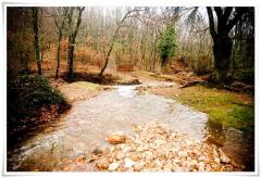 Casa Rural El Capricho de los Montes