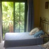 Hospederia V Centenario