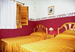 LA NAVELA. LOS JAZMINES