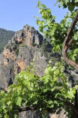 Hostal Rural Miralmundo