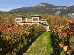 HOSPEDERÍA DEL VINO