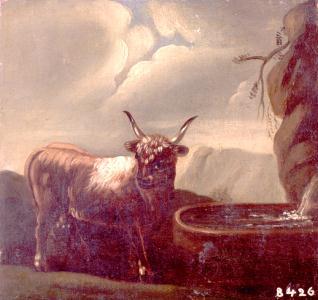 Toro en el campo ante una fuente