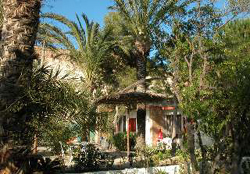 APARTAMENTOS TURÍSTICOS OASIS DE LAS PALMERAS