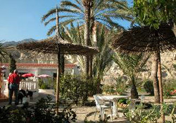 APARTAMENTOS TURÍSTICOS OASIS DE LAS PALMERAS