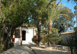 APARTAMENTOS TURÍSTICOS OASIS DE LAS PALMERAS