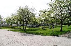 Camping Playa Del Regaton