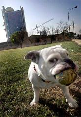 El reto del hotel bioclimático