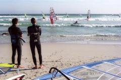 Entre conejo y marmota