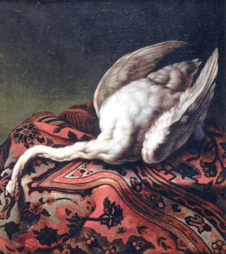 Cisne sobre alfombra