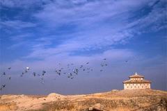 Palomares en Tierra de Campos