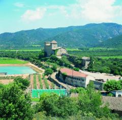 Castell de Riudabella