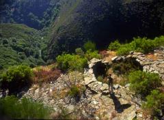 Caminos que no llevan a Roma