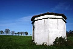 A Palleira da Curiscada