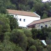 El Higuerón de Tavizna