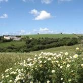 El Palomar de la Breña