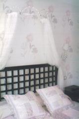 ENTRADA RIO LOBOS II