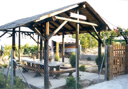 CASAS DON IGNACIO. PLANTA ALTA