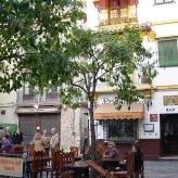 Hostería del Laurel