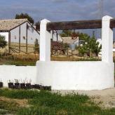 Cortijo Mesa de la Plata