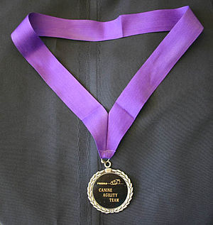 Medalla de oro