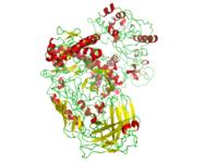 Polymerase