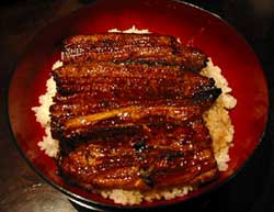 Unagi