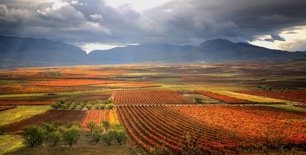 La Rioja Turismo