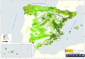 Distribución de coníferas y frondosas en España