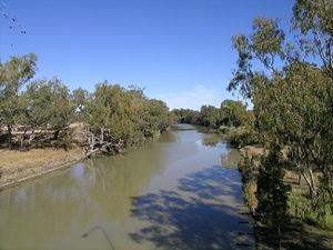 Barwon River (New South Wales)