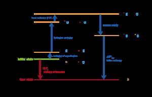 Ciclo de Born-Haber