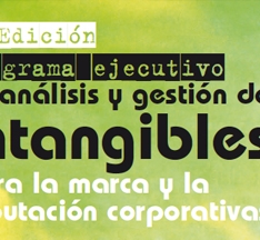 Executive Programme for Management and Analysis of Intangibles in the field of brand and corporate reputation