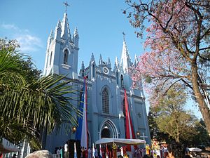 San Lorenzo (Paraguay)
