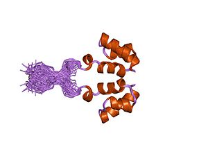 Integrasa