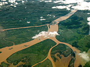 Delta del Paraná