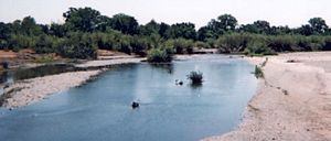 Cottonwood Creek (Sacramento River)