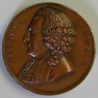 Carl Linnaeus (Carl von Linné)