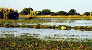 Lago Bangweulu