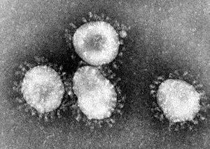 Betacoronavirus