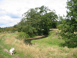 River Ecclesbourne