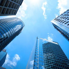 Experts agree: CCOs will play a key role in the future of organizations