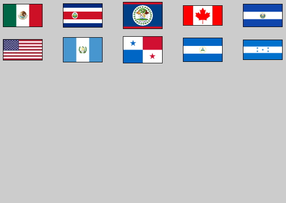 Flags of North and Central America. Lizard Point