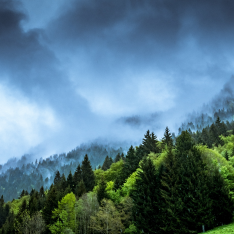 ¿Es, la emergencia climática, una prioridad para las empresas?